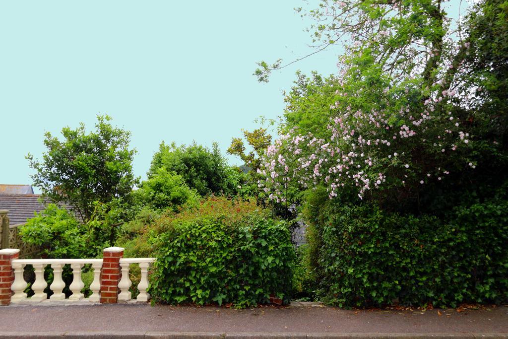 Lammas Park House Bed & Breakfast Dawlish Exterior photo